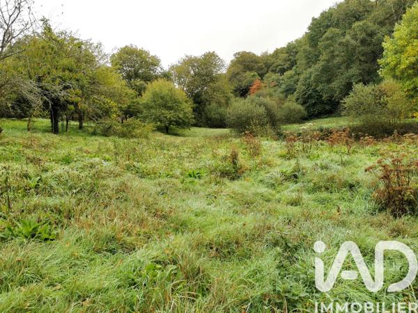 Terrain à vendre 15 000 m² Poullaouen