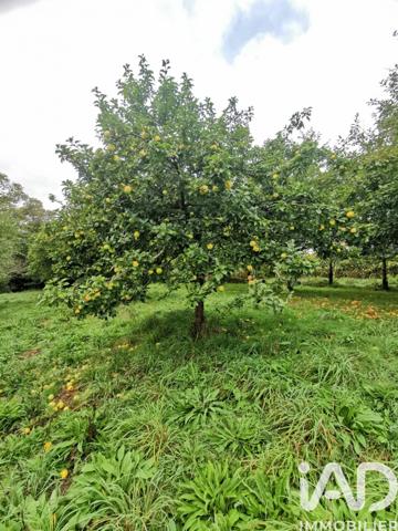 Terrain à vendre 15 000 m² Poullaouen
