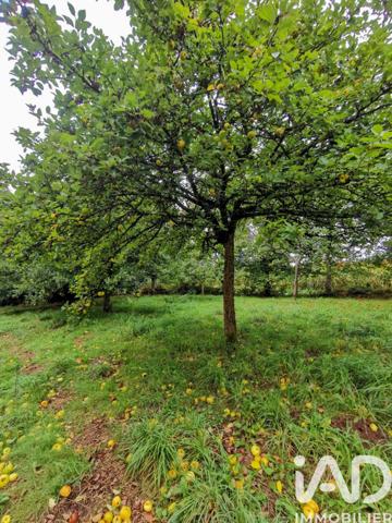 Terrain à vendre 15 000 m² Poullaouen