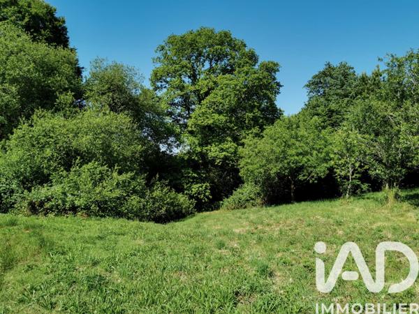 Terrain à vendre 15 000 m² Poullaouen
