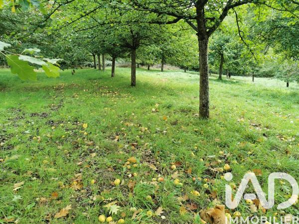 Terrain à vendre 15 000 m² Poullaouen