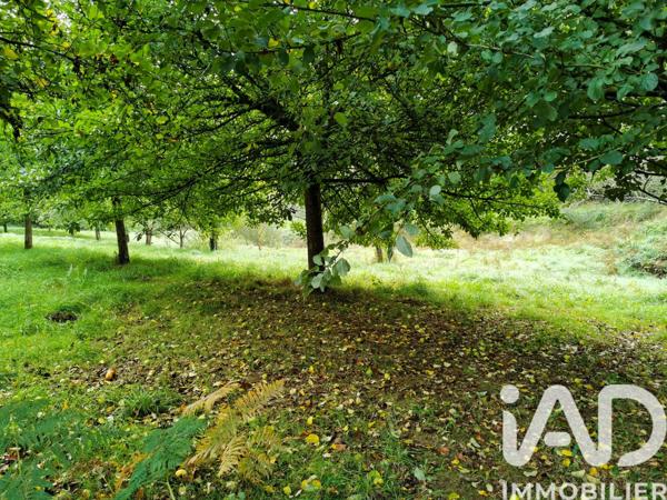 Terrain à vendre 15 000 m² Poullaouen