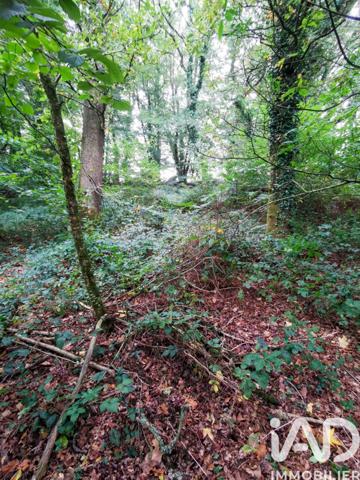 Terrain à vendre 15 000 m² Poullaouen