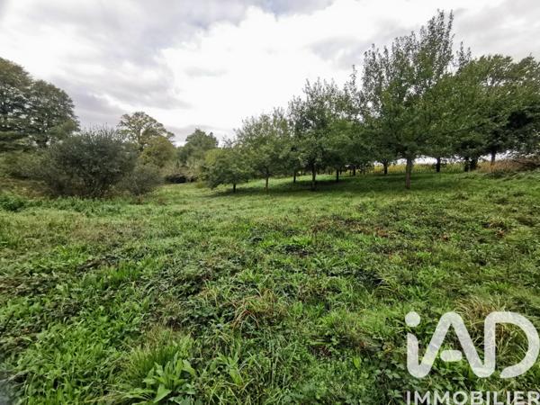 Terrain à vendre 15 000 m² Poullaouen