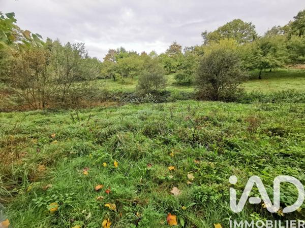 Terrain à vendre 15 000 m² Poullaouen