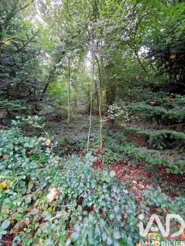 Terrain à vendre 15 000 m² Poullaouen