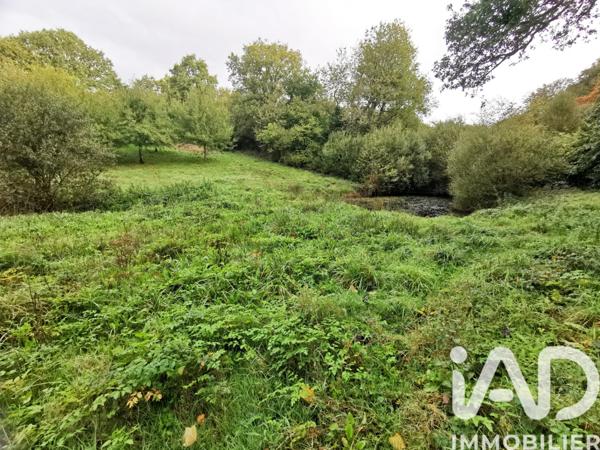 Terrain à vendre 15 000 m² Poullaouen