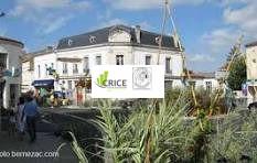 SUPERETTE