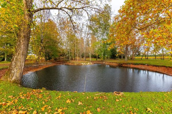 Vente Château Bordeaux 12 Pièces 570 m²