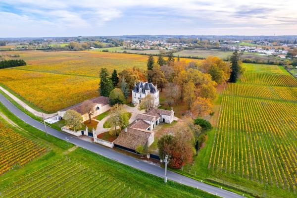 Vente Château Bordeaux 12 Pièces 570 m²