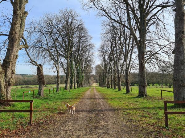 Beau château XIXe avec 19 hectares à vendre à quelques minutes du Mans