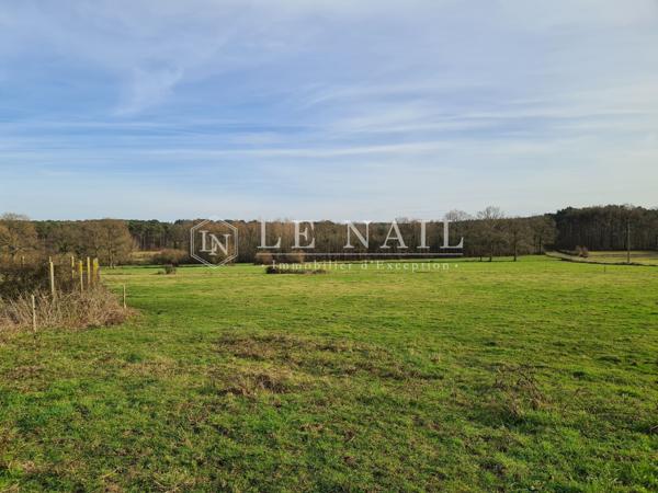 Beau château XIXe avec 19 hectares à vendre à quelques minutes du Mans