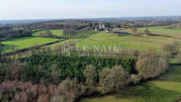 Beau château XIXe avec 19 hectares à vendre à quelques minutes du Mans