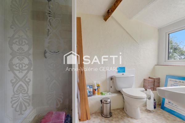 Maison de campagne avec gîte- 5chbs 4070m² jardin