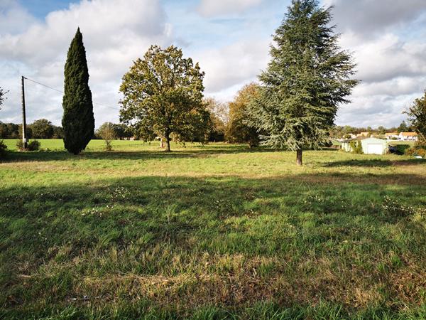 Terrain avec maisonnette et garage sur Sommières du Clain