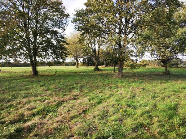 Terrain avec maisonnette et garage sur Sommières du Clain