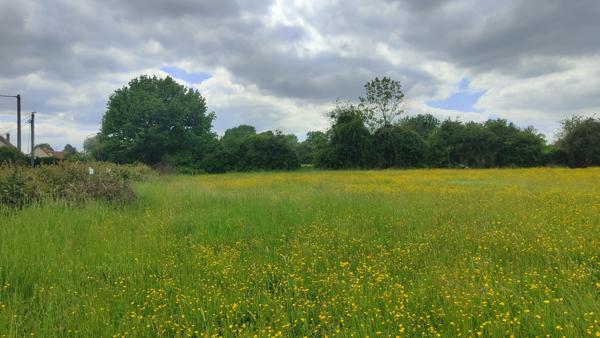 TERRAIN A BATIR PLAT DE 1000 M² AVEC TOUT A L' EGOUT DANS UN CADRE VERDOYANT A 15 MN DE BEAUVAIS VERS GOURNAY Goincourt (60000)