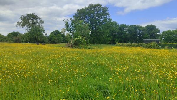 TERRAIN A BATIR PLAT DE 1000 M² AVEC TOUT A L' EGOUT DANS UN CADRE VERDOYANT A 15 MN DE BEAUVAIS VERS GOURNAY Goincourt (60000)