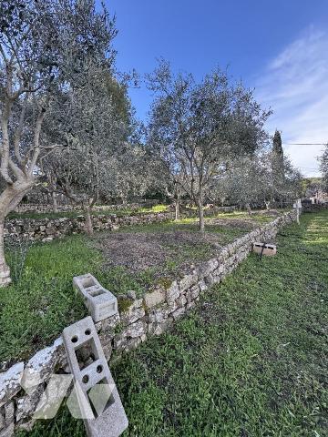 Vallauris Impiniers . Terrain 656 m2 avec permis accepté