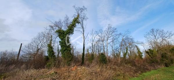 GERMIGNY L'EVEQUE : A VENDRE 4 parcelles Naturelles et Boisées,   NON CONSTRUCTIBLES
