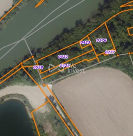 GERMIGNY L'EVEQUE : A VENDRE 4 parcelles Naturelles et Boisées,   NON CONSTRUCTIBLES