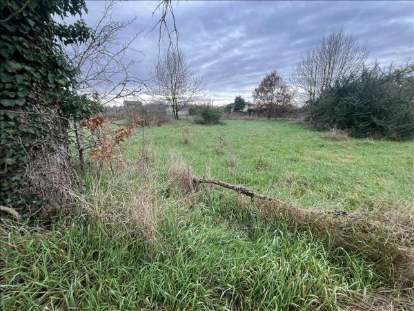 Terrain à vendre |  Réalville |  1000 m²