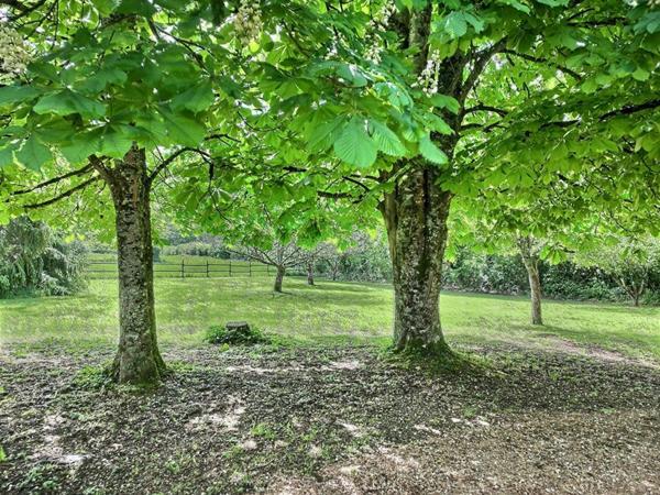 Maison Saint Andre en Morvan 8 pièces  250 000