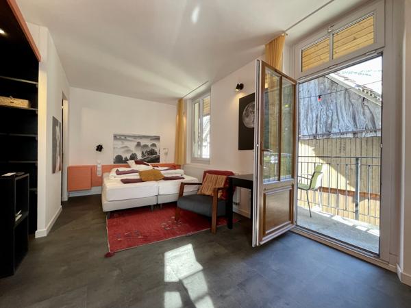 Saint-Pierre-d'Entremont (73670) Très bon investissement - Maison avec 3 superbes appartements - T4-T3-Studio - terrasses - jardin et terrain -