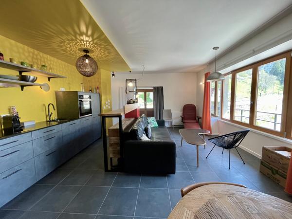 Saint-Pierre-d'Entremont (73670) Très bon investissement - Maison avec 3 superbes appartements - T4-T3-Studio - terrasses - jardin et terrain -