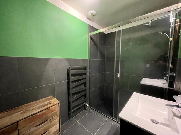 Saint-Pierre-d'Entremont (73670) Très bon investissement - Maison avec 3 superbes appartements - T4-T3-Studio - terrasses - jardin et terrain -