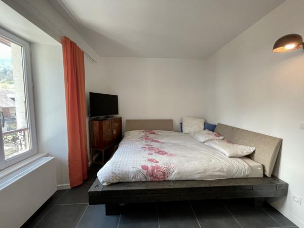 Saint-Pierre-d'Entremont (73670) Très bon investissement - Maison avec 3 superbes appartements - T4-T3-Studio - terrasses - jardin et terrain -