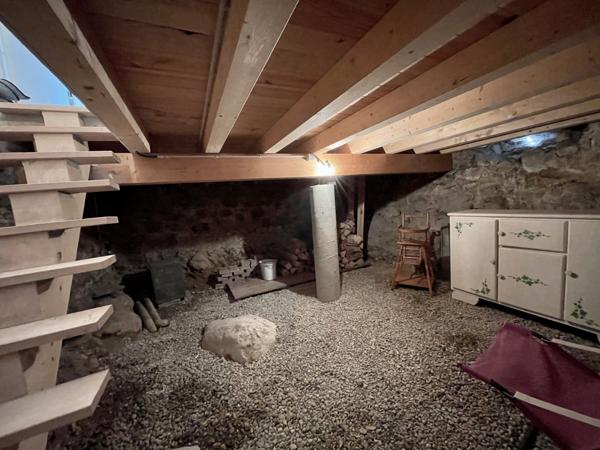 Saint-Pierre-d'Entremont (73670) Très bon investissement - Maison avec 3 superbes appartements - T4-T3-Studio - terrasses - jardin et terrain -