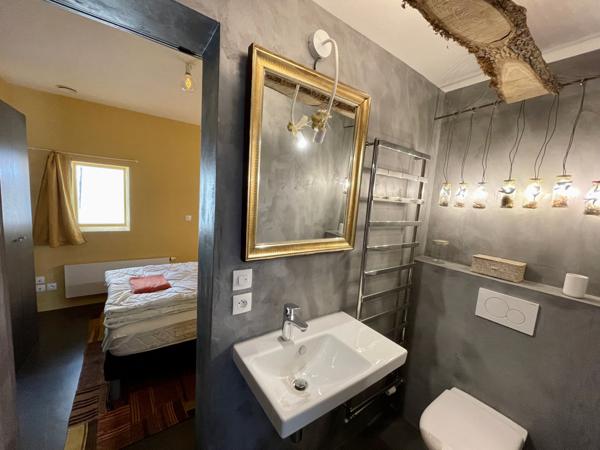 Saint-Pierre-d'Entremont (73670) Très bon investissement - Maison avec 3 superbes appartements - T4-T3-Studio - terrasses - jardin et terrain -