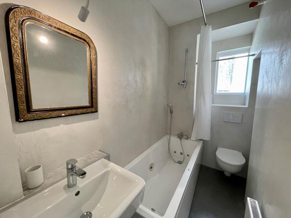 Saint-Pierre-d'Entremont (73670) Très bon investissement - Maison avec 3 superbes appartements - T4-T3-Studio - terrasses - jardin et terrain -