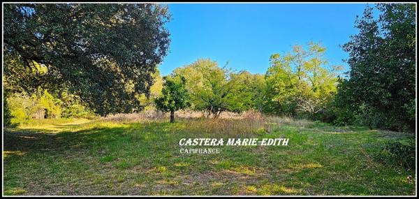 Propriété - Château Gascon Historique - Terres agricoles, proche de AUCH (32)