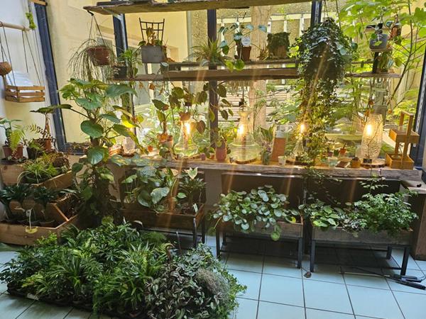 A vendre murs Locaux d'activité Montfavet  (84170) 193 m2, coworking médical , location de salles