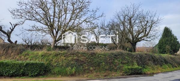 Terrain constructible