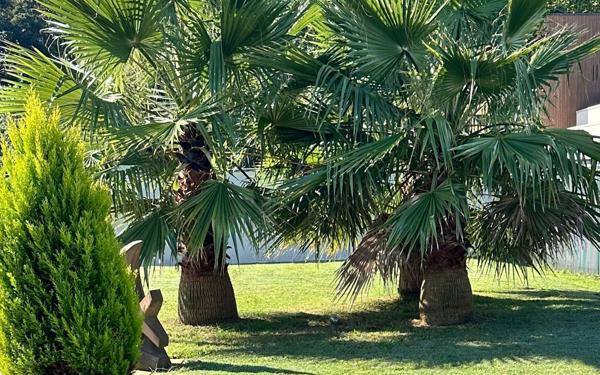 Maison à vendre    4 pièces • 99,47 m2 Bénesse-Maremne