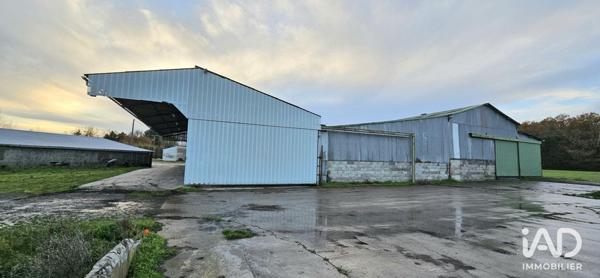 Hangar à vendre 1 300 m² Les Brouzils