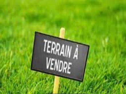 TERRAIN A BATIR BRETIGNOLLES SUR MER Toutes les caractéristiques