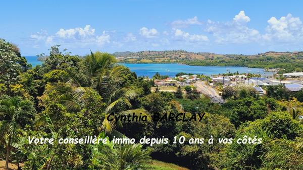 Maison à LE ROBERT (97231)