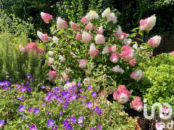 Maison à vendre 5 pièces 123 m² Saint-Pryvé-Saint-Mesmin