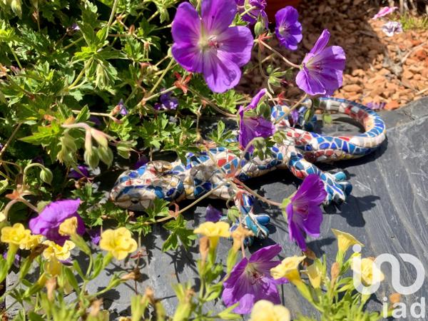 Maison à vendre 5 pièces 123 m² Saint-Pryvé-Saint-Mesmin