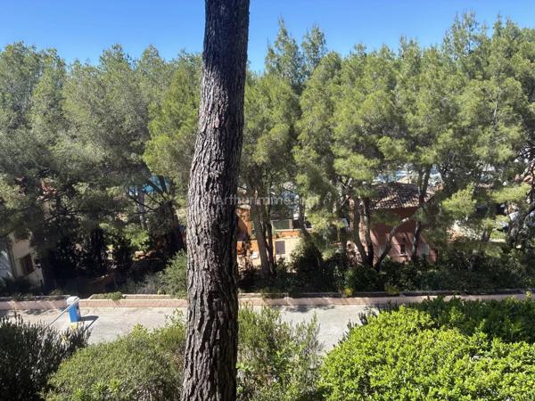 Location                                                      Studio
                        
                     1 pièces                      20 m2                     à Saint-Cyr-sur-Mer