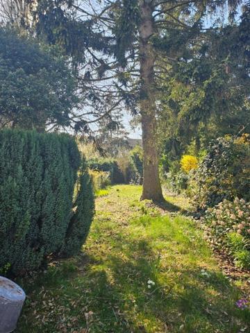 Maison à vendre à Lille dans le Nord (59000), ref : 59194-6769   
Lille Sud