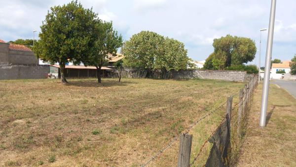 Terrain constructible