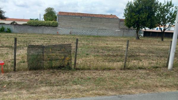 Terrain constructible