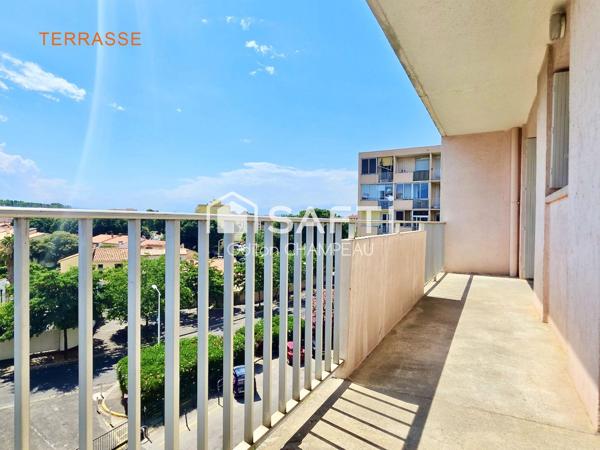 Appartement T2 de 46m2 entièrement rénové - Terrasse 13m2 plein sud vue dégagé + Cave