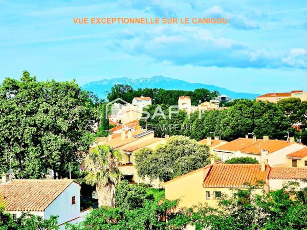 Appartement T2 de 46m2 entièrement rénové - Terrasse 13m2 plein sud vue dégagé + Cave