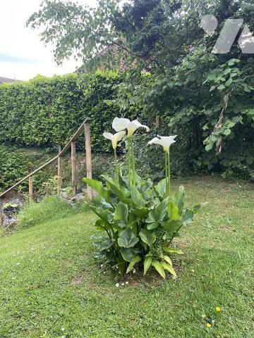 MAISON FAMILIALE QUARTIER VILLAGE